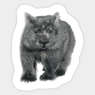 Wombat Sketch Sticker